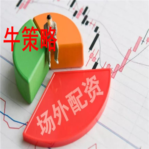 能够最大程度地满足投资者的需求